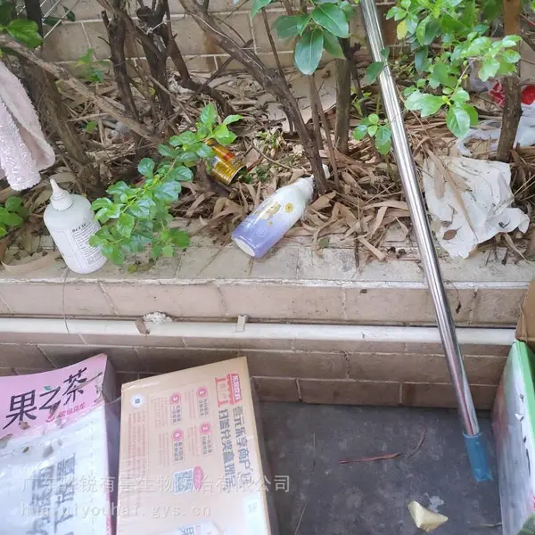 四川除虫灭鼠 四川灭臭虫专业公司 24小时预约 快速响应上门