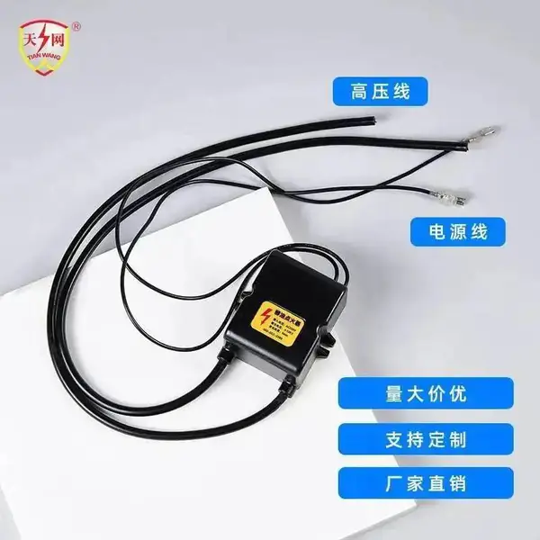 定制点火器高压包 汽车驻车加热器 取暖炉燃油点火器 汽车尾部炫彩火焰发射器