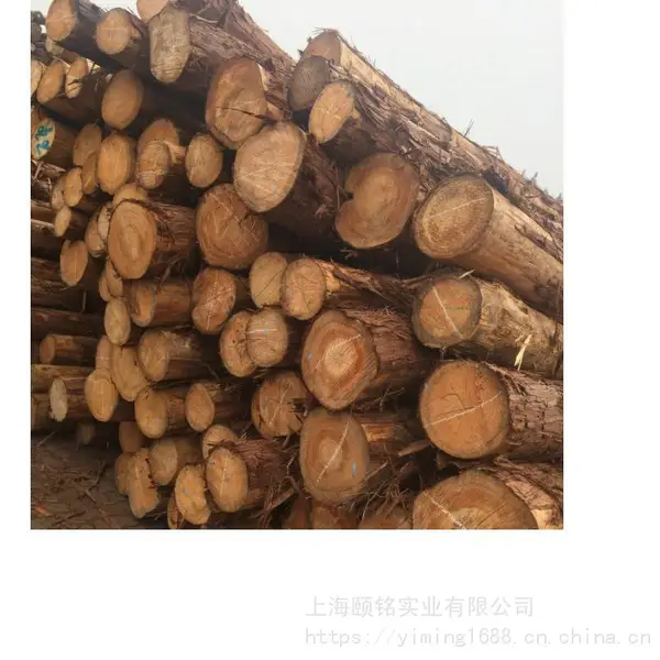 ��ľǽ�ڰ� ���Ƴߴ� �������ľֱ��ƴ��