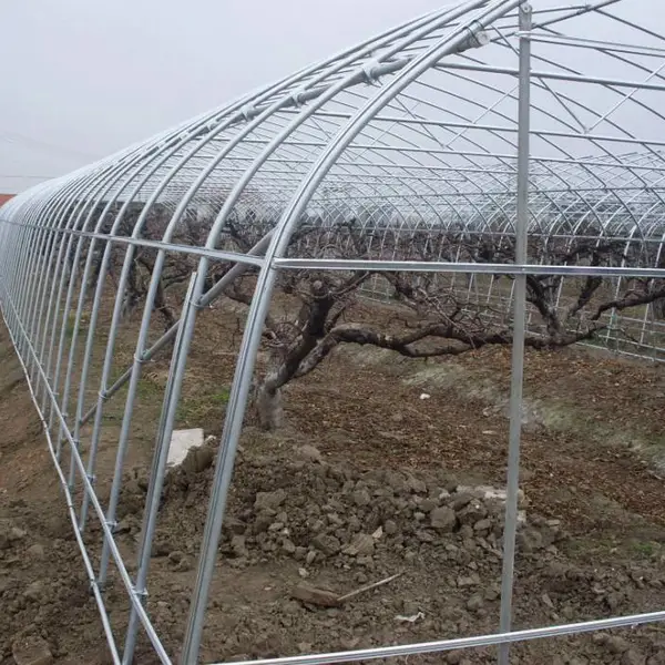 陕西安康连栋大棚骨架工程设计 连体大棚温室 蔬菜大棚 蘑菇遮阳网利得膜大棚