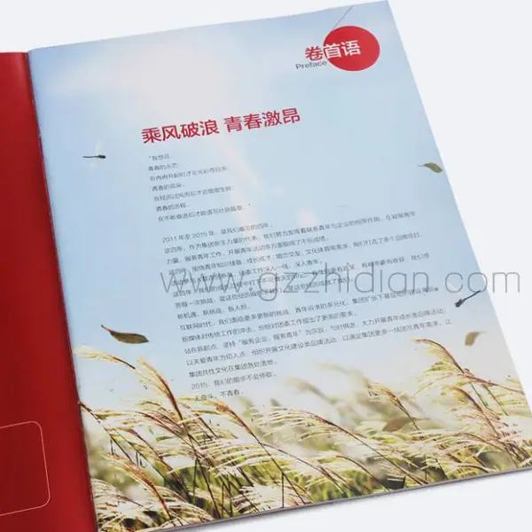 团委活动宣传册设计印刷、企业团建画册定制、期刊杂志排版