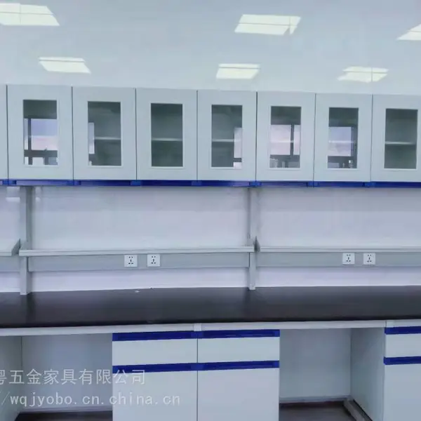 广东省药品检验所实验台环氧树脂台面实验台钢木实验台