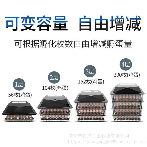 孵化设备 全自动智能卵蛋小鸡孵蛋器 鸡蛋孵化箱 水温孵化机厂家