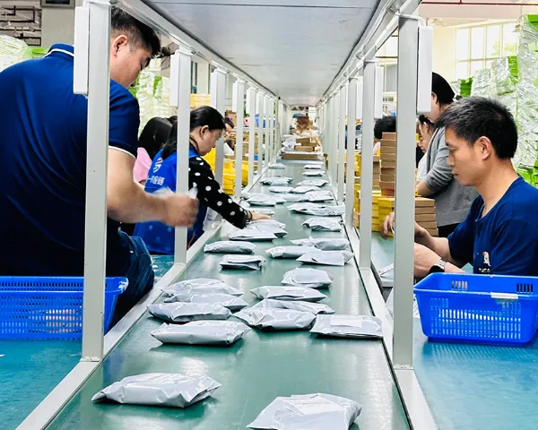 惠州有哪些深圳云仓怎么样 服务为先 顺一云仓供应