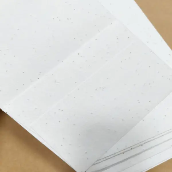 企业商务伴手礼种子纸手提袋 定制logo包装 展会宣传环保礼品袋