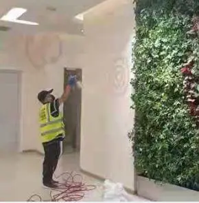 �������ȩ�����Ĺ�˾ ������ѯ