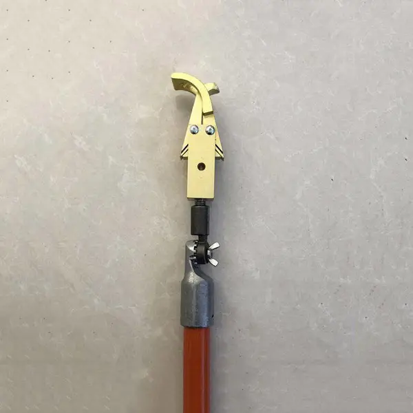 ��ʱ��ͷ������ӥ��ͷ����10KV������ӥ�����߸���ӥͷ��Ե��