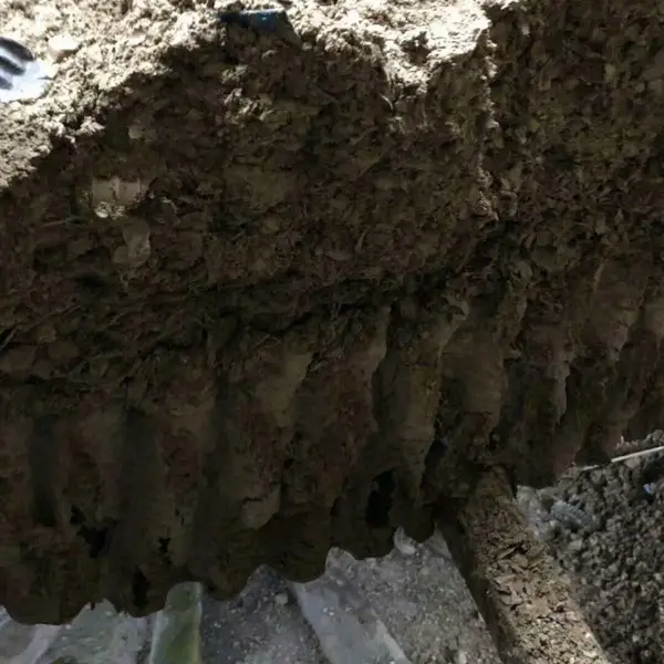 Բ����ȴ������������