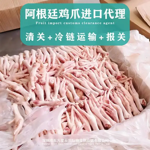 阿根廷鸡爪清关代理蛇口港进口冷冻食品冷链运输报关货代