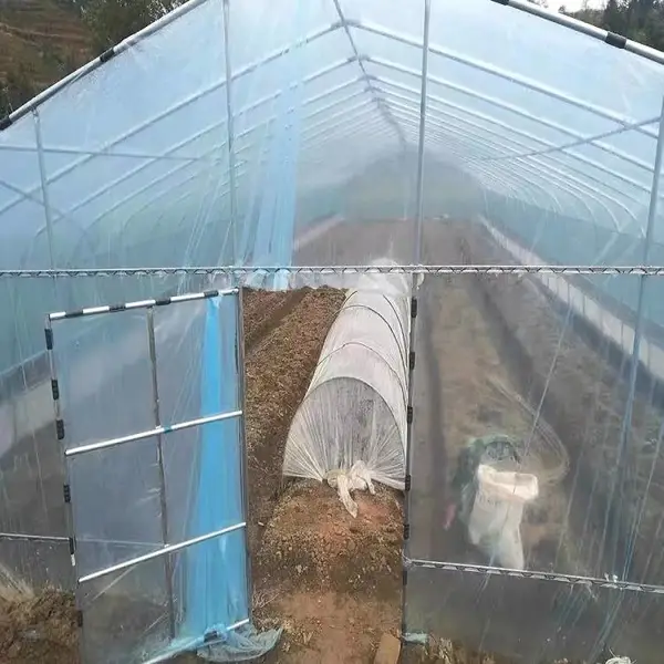 中山黄圃 蔬菜养殖大棚 智能黑白膜 种植通风温室 抗风抗雪 ZKHP-01