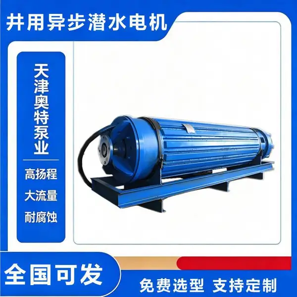 潜水电机 自平衡大型潜水电泵专用 矿山排水用高压电机