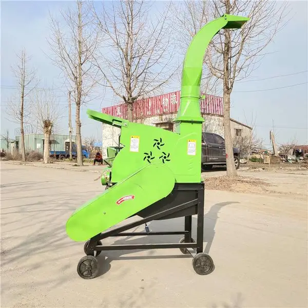 ��Ӧ��ֳ�����������׽ո�ա�ݻ�_�ַ��е�����ա����˿��