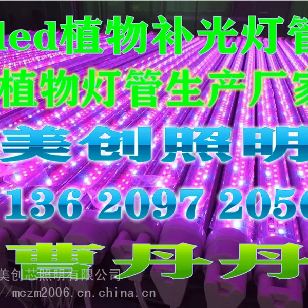 led植物生长灯果蔬种植led补光灯led育苗灯200W补光灯