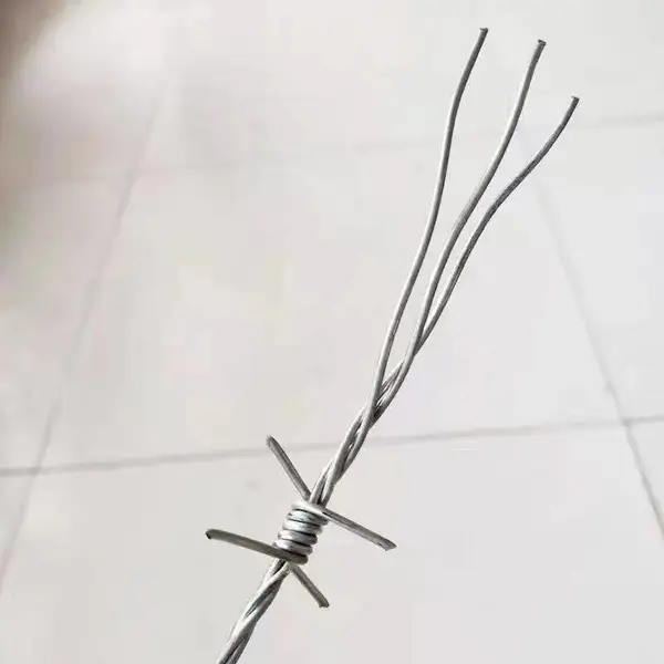 �ȶ�п���� ������������� Χǽ������˿