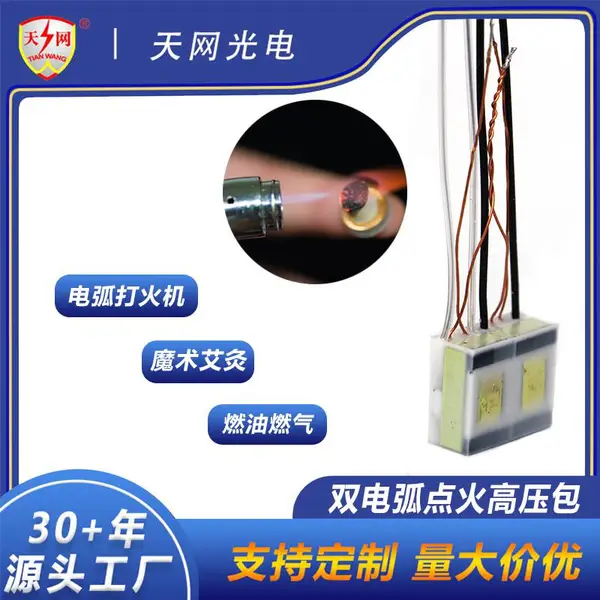 天网电弧打火配件高压包 小型点火电弧高压包 电子打火魔术道具