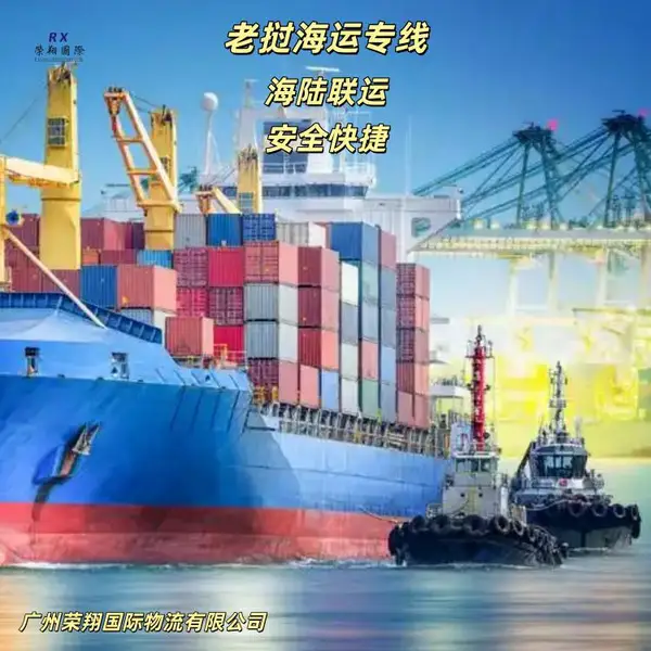 整柜货物发老挝海运专线 巴色万象整柜送达 老挝海运双清到门