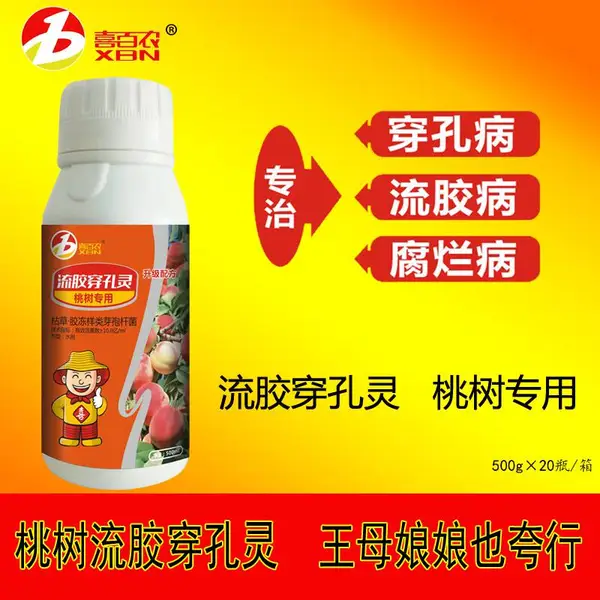 桃树流胶穿孔灵治樱桃猕猴桃树细菌性穿孔病腐烂病软腐病杀菌
