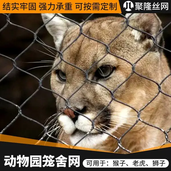 聚隆定制菱形猴子动物园笼舍网 喷塑304L不锈钢围栏