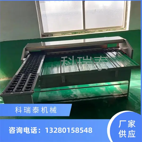 重量分级机 鸡蛋分选机机械分选机 筛选分离设备