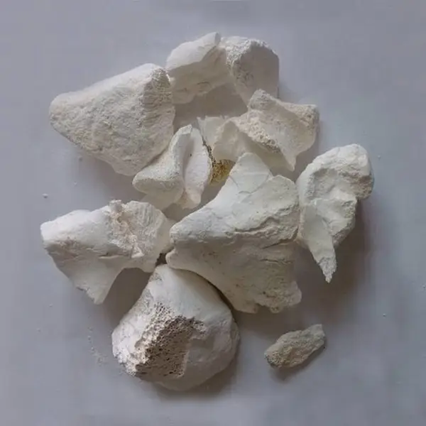 销售骨碳 骨炭