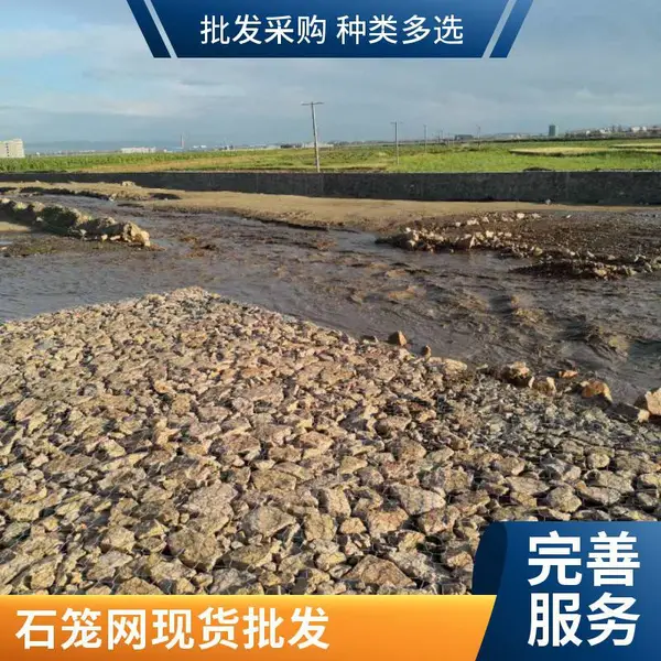 电焊石笼网 焊接牢固抗变形 河道护坡网 支持按图纸生产