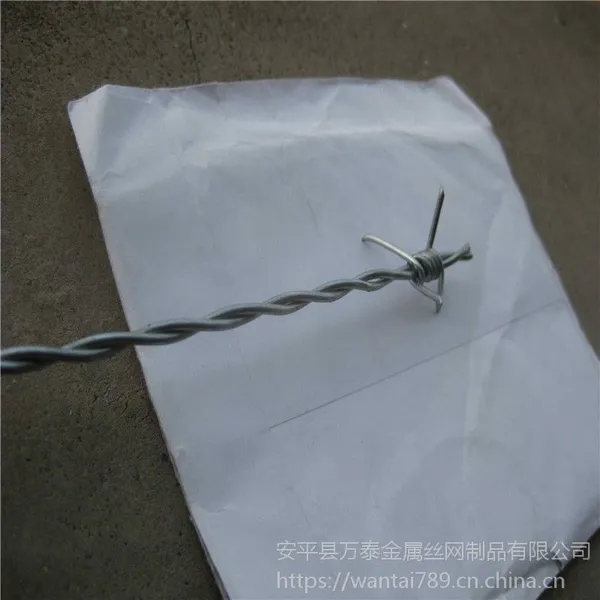 刺绳刺距多少 安全刺丝网 现货刺绳产品