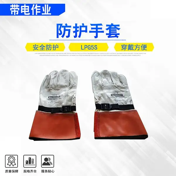 ����Salisbury�繤����Ƥ�ʷ�������׷����̷�������LPG5S