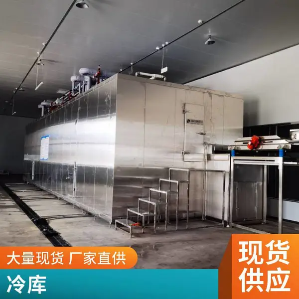 肉面食品隧道式速冻机 海产品速冻流水线 休闲食品冷冻速冻设备