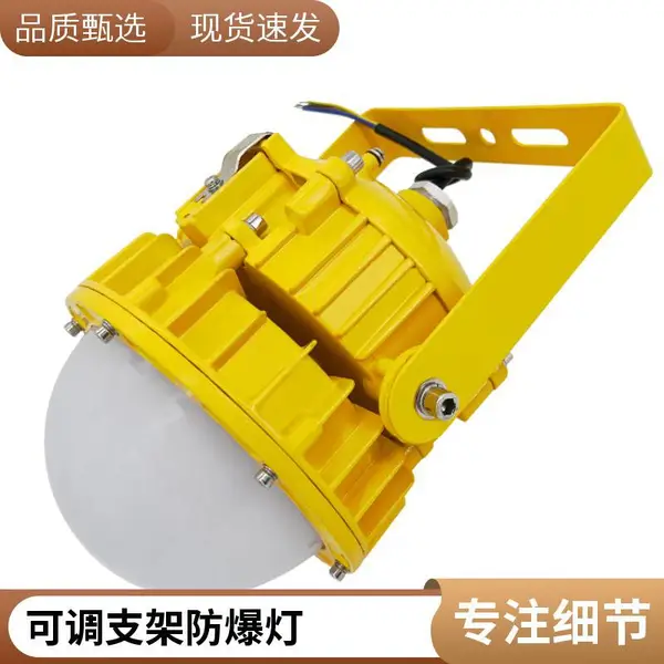 防爆泛光灯 250W LED防爆投光灯 燃气调压站防爆照明 支架套装