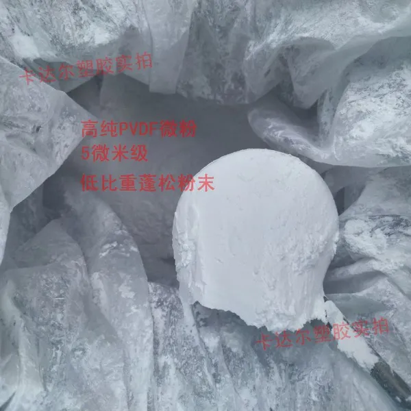 供应多孔膜用PVDF粉 过滤膜超滤膜用聚偏氟乙烯粉末