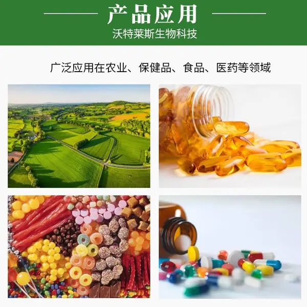 «������� 50%-98%��«������30%�� «���ۣ�«����ȡ��10:1������ȡ��1�����𶩣�����