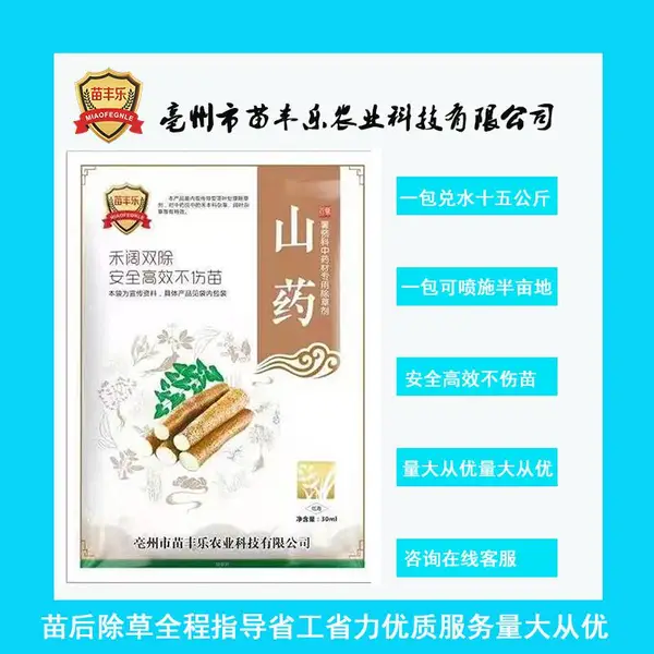 山药除草剂山药苗后专用除草剂禾阔双除量大从优除草剂