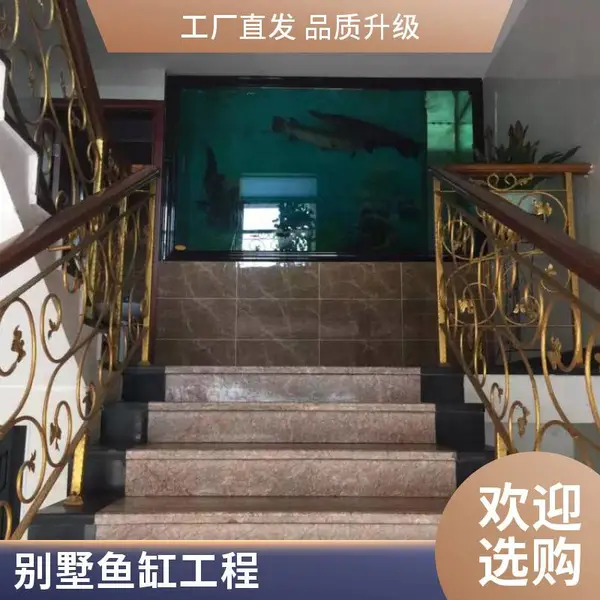 秦海水景 中高端观赏鱼缸 壁挂嵌入式 全自动水质管理