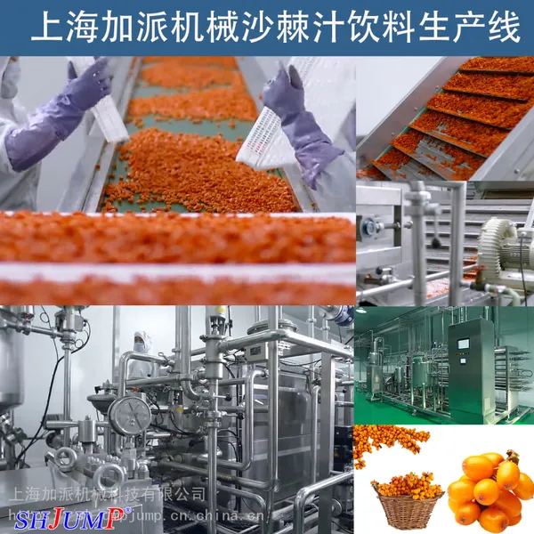 沙棘汁加工生产线 \沙棘饮料加工设备\ 沙棘籽油加工生产线设备