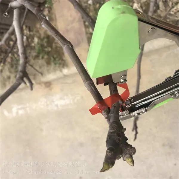 ���ѷ��Ѱ�֦�� �������������� ���������֦��