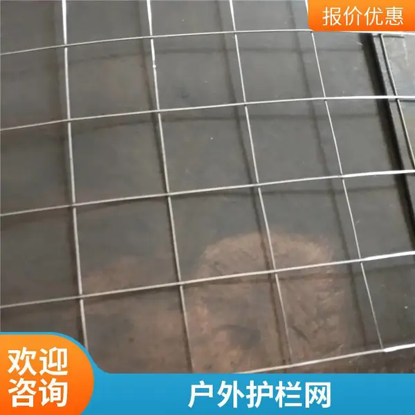 鸡鸭鹅舍养殖电焊网片 热镀锌焊接网 不易生锈