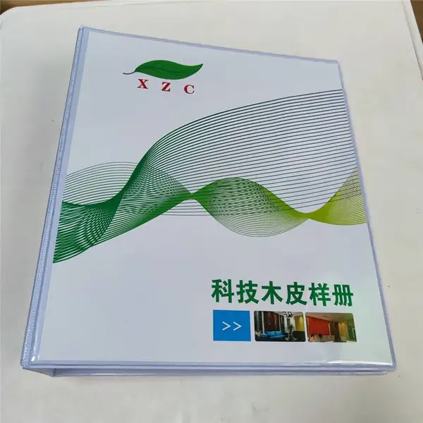 厂家定做PVC三面插页文件夹2孔3孔4孔活页夹办公D型资料册