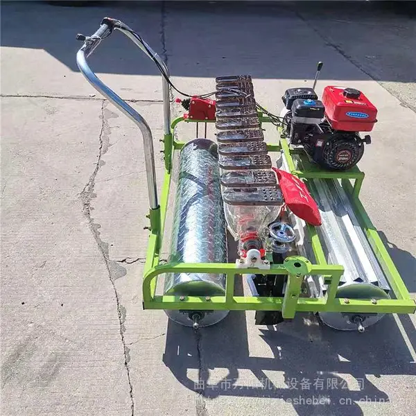 ������������ʽ�߲˲��ֻ� С����ҩ�Ĳ��Ѿ������ֻ� ���Ͳ��ֻ�
