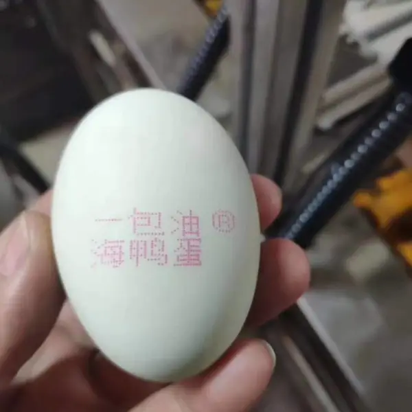 铭腾 多功能鸡蛋喷码机 鸭蛋表面整托喷码往返打印喷码机