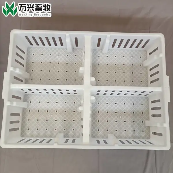 雏鸡塑料周转箱 小鸡塑料周转筐 雏鸡筐运输笼