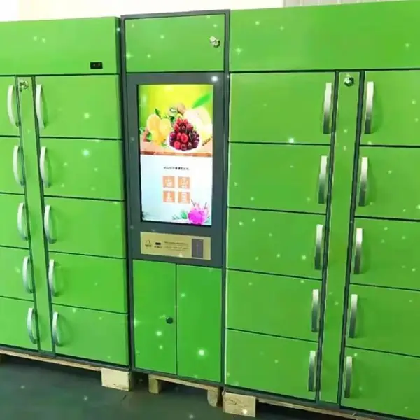 毅迈 智能快递柜 小区微信联网自提柜 自助快递存物柜
