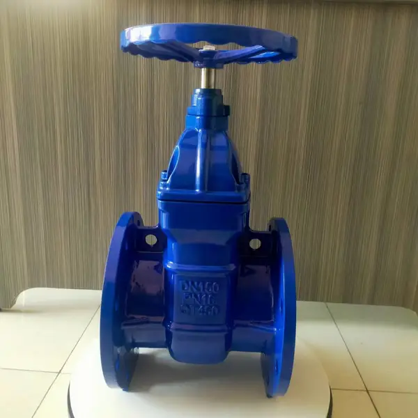 暗杆闸阀Z45X-10Q DN100 软密封闸阀 水处理系统用