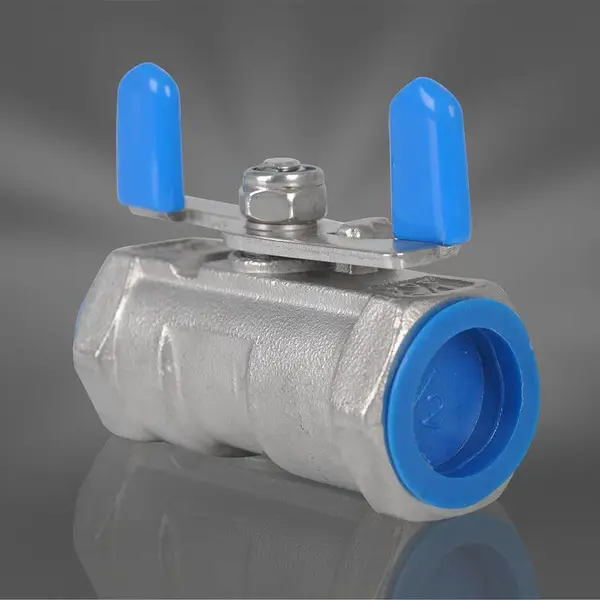 1PC������ GB/T12235(J41W)1000PSI PT������/304��/EPDM��2-1