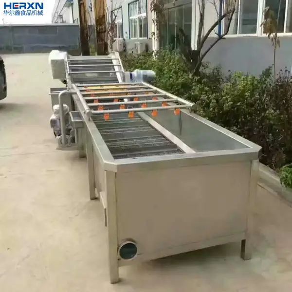果蔬清洗机 喷淋式中药材气泡洗菜机 大型食品厂净菜加工清洗流水线