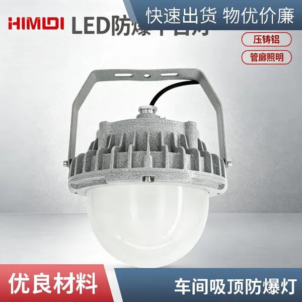 防爆泛光灯30W 防爆照明灯 仓库安全节能照明