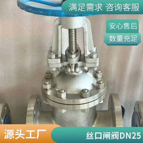 美标不锈钢闸阀 法兰式DN125 腐蚀性液体输送截断阀 阀盖可拆维护方便