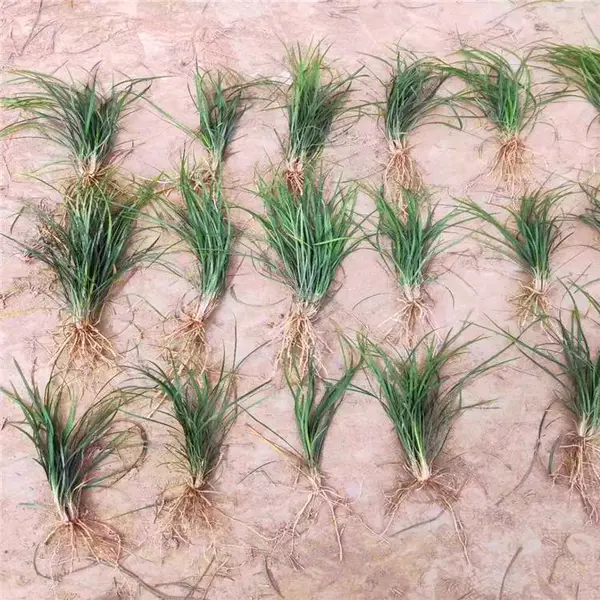 �����󶬲�-�����¼�-�󶬲��ͻ�����