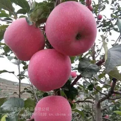 �ɶ�ˮ����Ӧ��ˮ�������г�����ˮ��������������