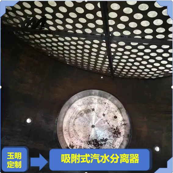 吸附式汽水分离器蒸汽发生器气源精密除雾吸附分离器