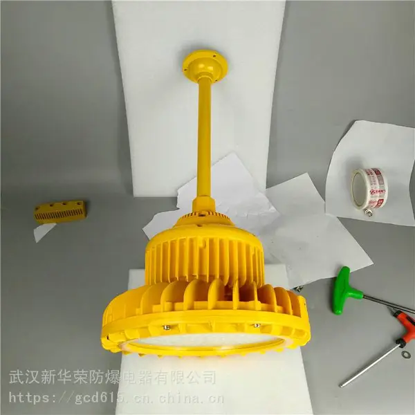 华荣 机房LED防爆灯50w 炼化厂LED防爆灯100w 货源充足